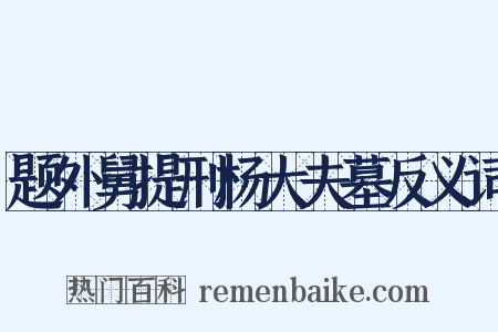 题外舅提刑杨大夫墓反义词是什么意思的图片
